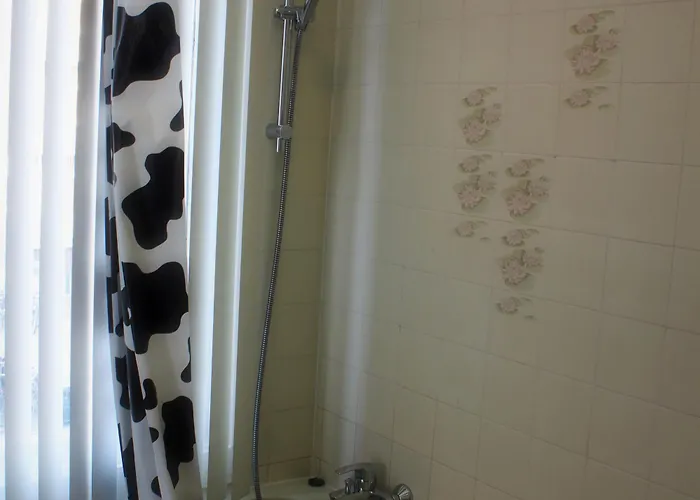 ホテル ニュー シティ スヘフェニンへン