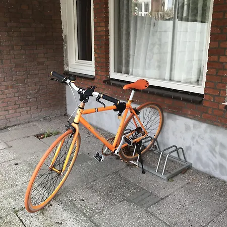 New Scheveningen Haia