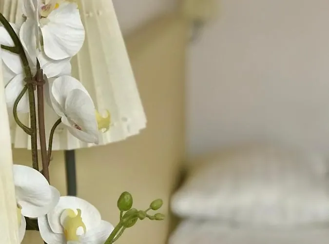 호텔 New Scheveningen