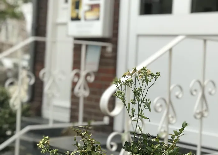 New Scheveningen Haag