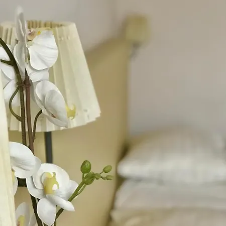 Отель New Scheveningen